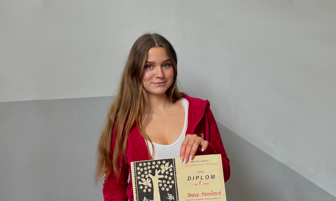 dtssdphsh8_____pivonkova