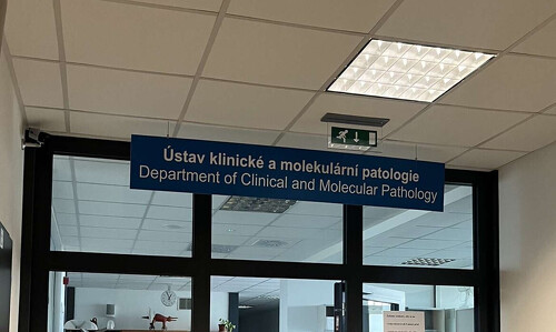 Setkání lovců želvušek