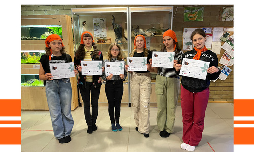 Soutěž Zlatý list