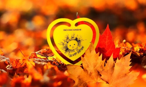 Srdíčkové dny