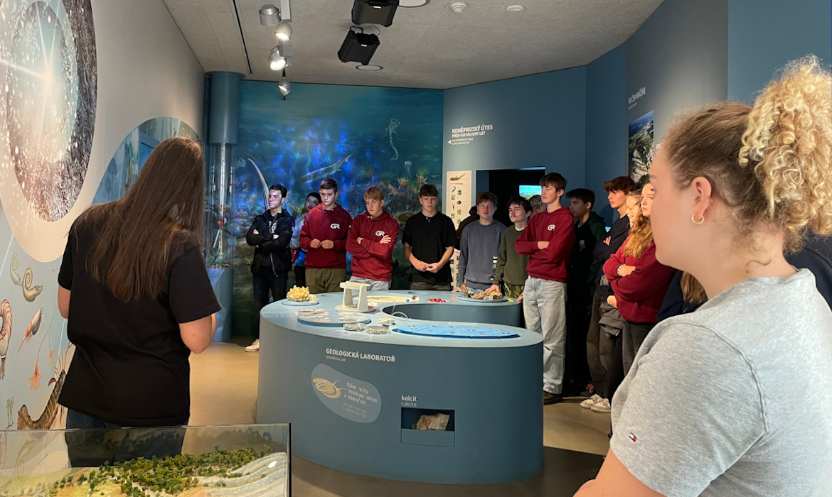 sr3z9a0exw_____526585