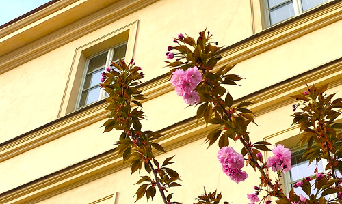 Pozvánka na třídní schůzky