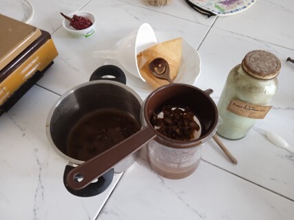 Jak jsme vařili inkoust z duběnek