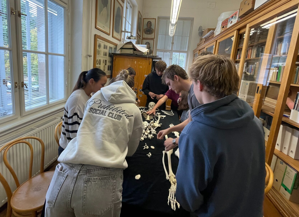 pjfigaeqch_____IMG_3160