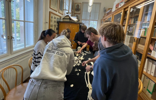 Čtvrté ročníky v Hrdličkově muzeu člověka