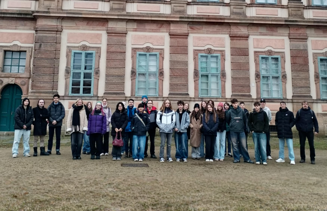 3c6gkj5i8c_____Plasy