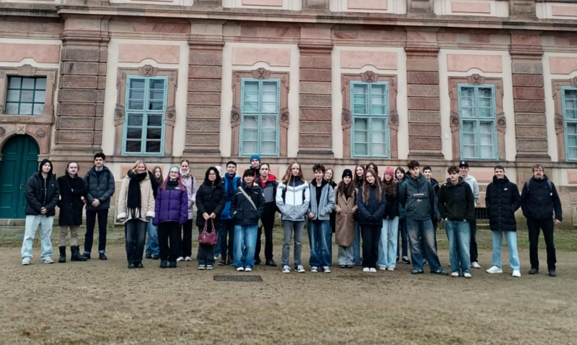 3c6gkj5i8c_____Plasy