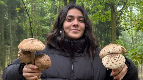 Martina Naomi Chinen: Život je tu klidnější