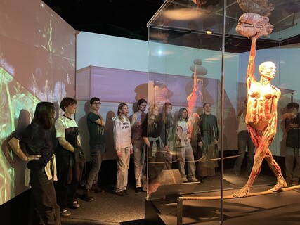 Tercie na výstavě Body Worlds