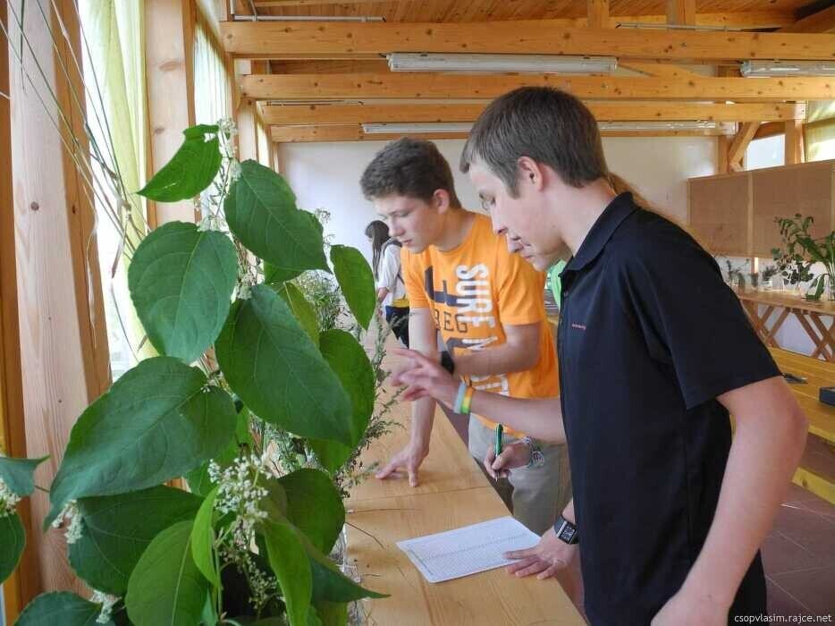 lbz70pdouq_____4sfxbcoysx-dscn4941_1170_700_SHRINK_ONLY__85_jpg_