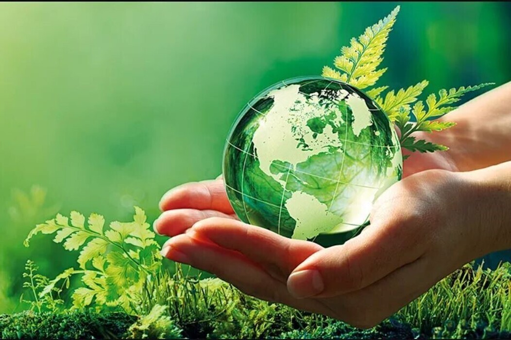 x3pz2fms2l_____6654465