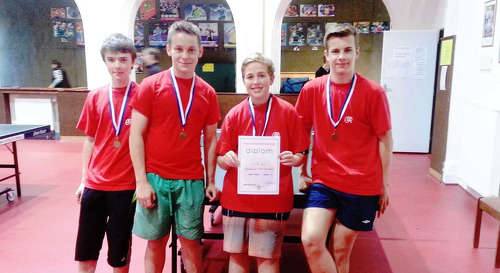 Stolní tenis: Okresní kolo celé z bronzu