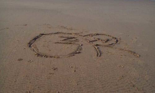 Naši studenti v Holandsku