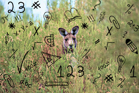 Výsledky soutěže Matematický klokan 2014/2015