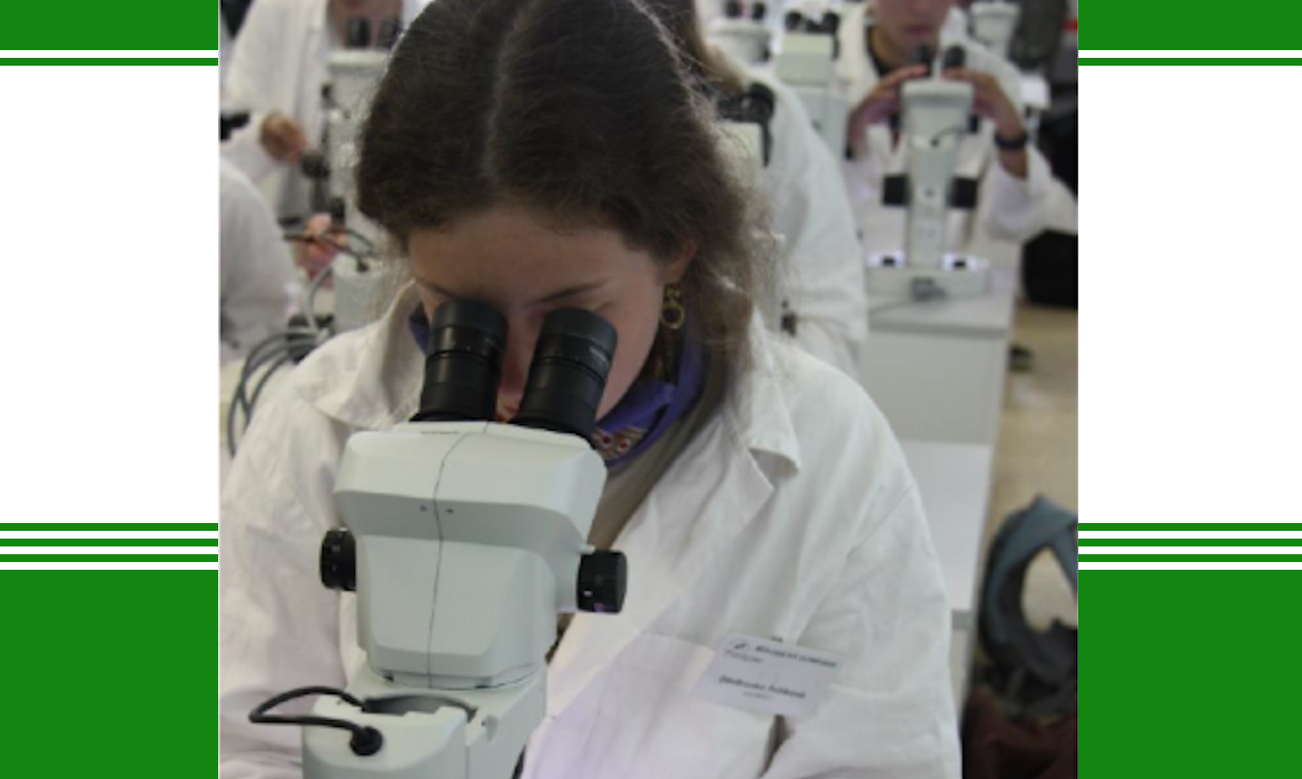 ows7aab1mx_____kpfg63vrj7-d-pozarova