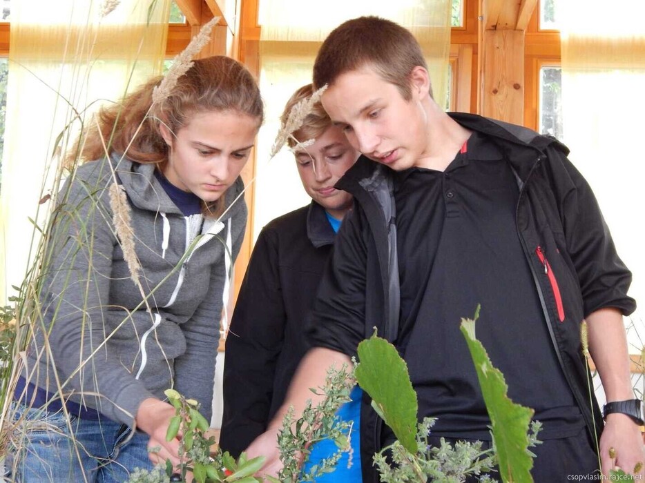 k6x86sfty5_____vxjzttl4xh-dscn3384