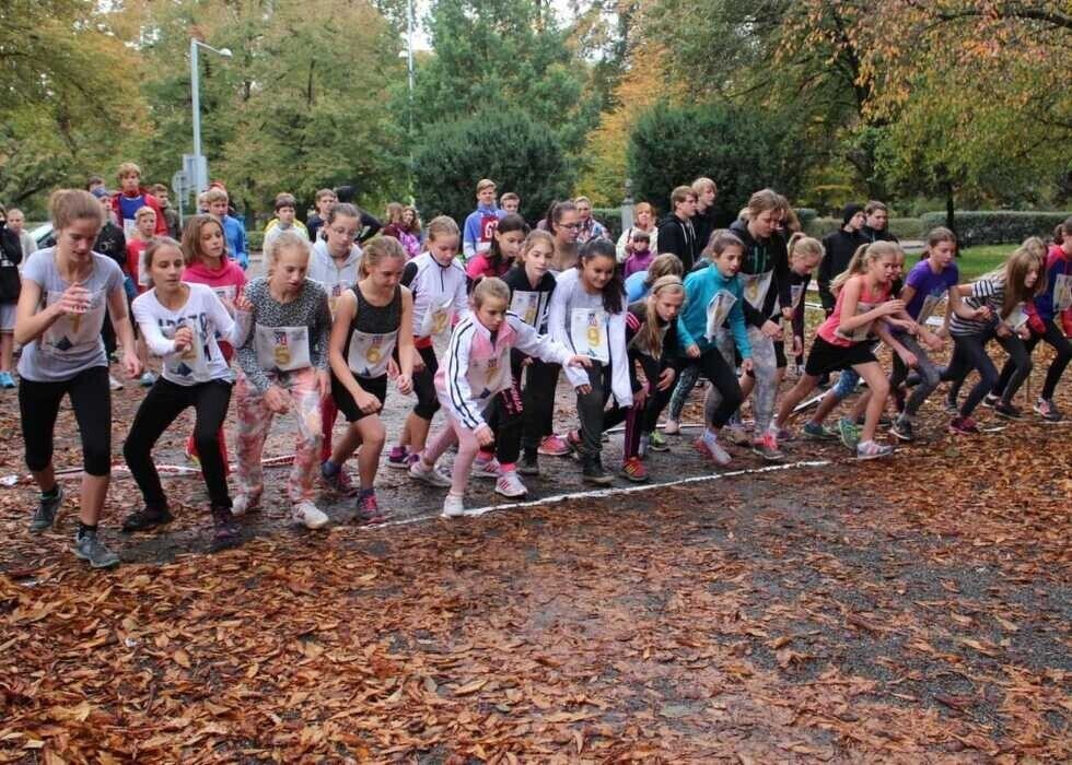 q903is6obh_____vhrulea5h8-img-0119_1170_700_SHRINK_ONLY__85_jpg_