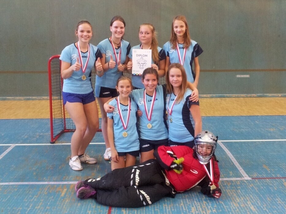 f28odi8m06_____mga8p0uf6t-2015-11-26-13-44-35