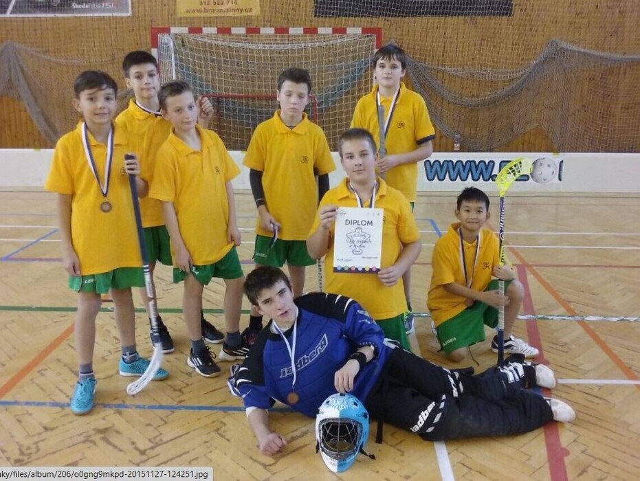 wz01y6eccd_____volejb