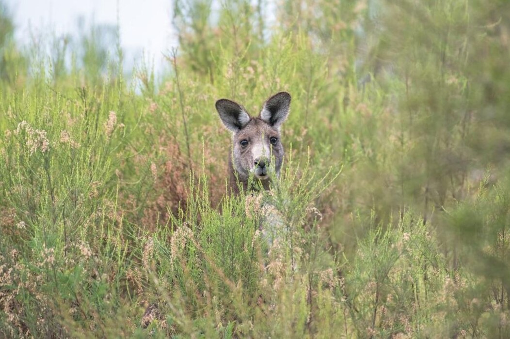 ba4nus3bhc_____fgfgsgsdgs