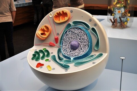 Muzeum Hygieny a pamětihodnosti Drážďan