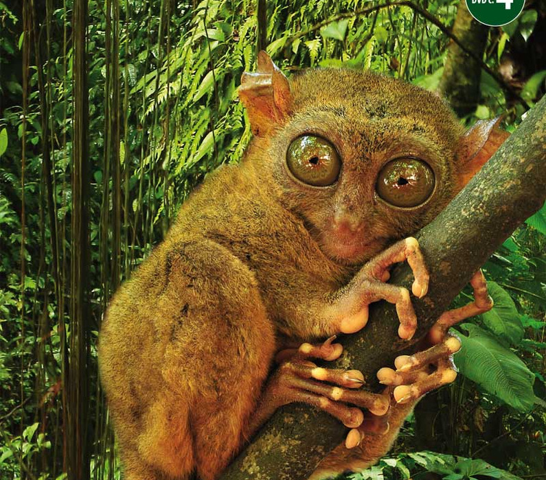 6a6slcup8s_____DVD-Filipíny