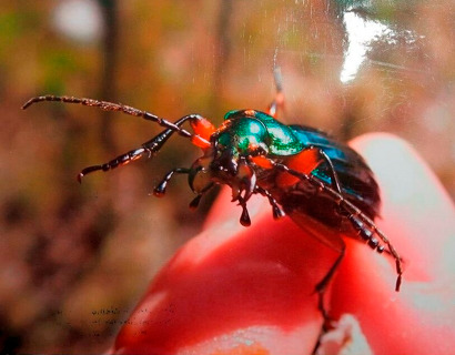 Literární a výtvarné úspěchy našich studentů