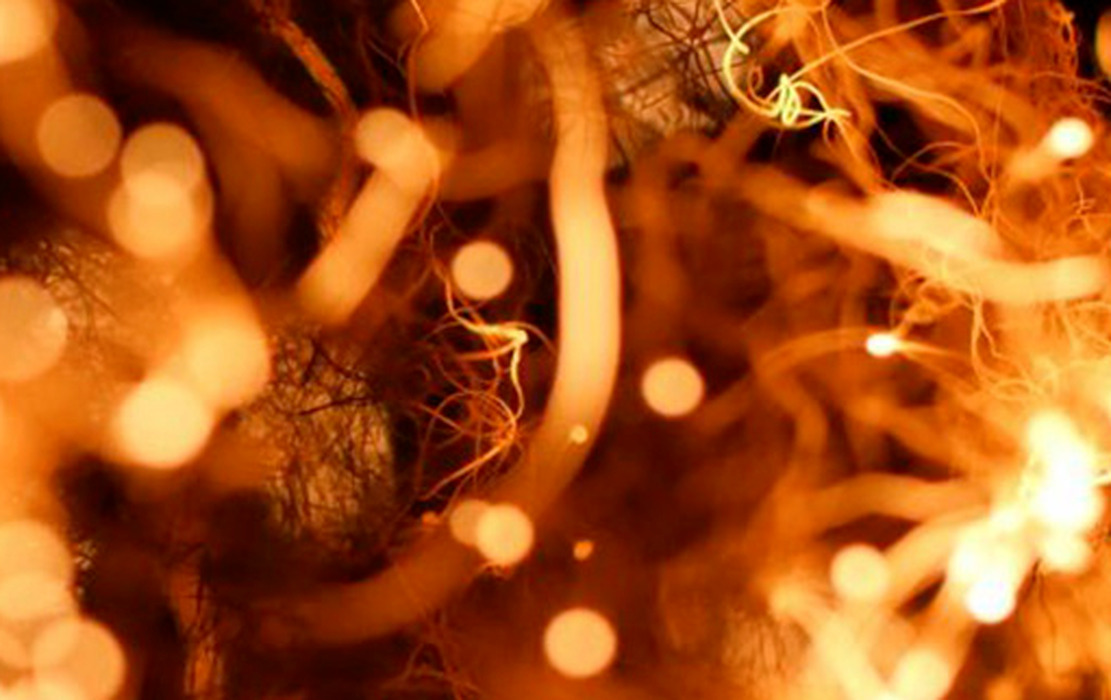 lvs7q7zgd9_____bpe2t2u8mn-plakat-v2-1b