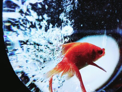 Další soutěž nejen pro chemiky